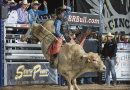 Rodeo vuelve al BOK | <strong>Bull riding returns to the BOK</strong>